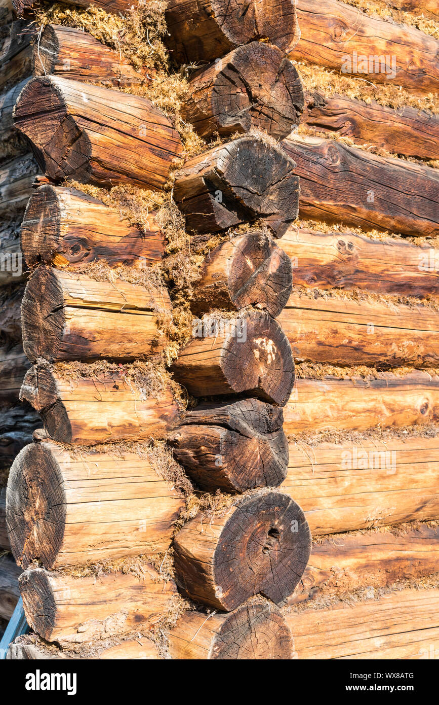 Log house closeup Foto Stock