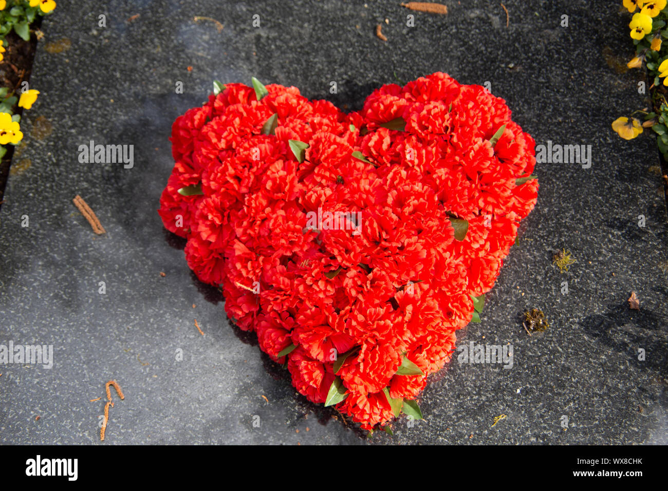 Cuore rosso dei fiori Foto Stock