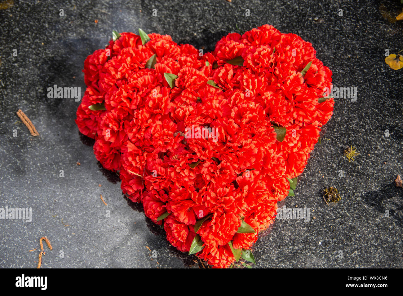 Cuore rosso dei fiori Foto Stock