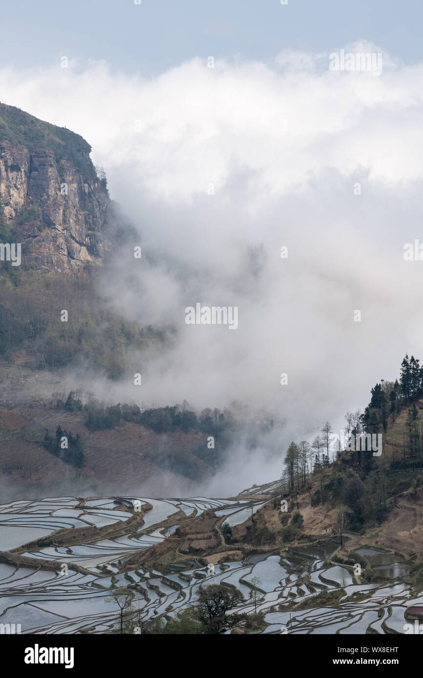 Yunnan terrazzati paesaggio del campo Foto Stock