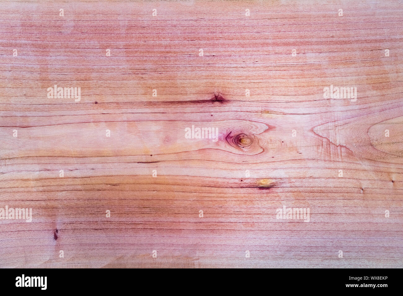 Red toon legno tagliata a grana Foto Stock
