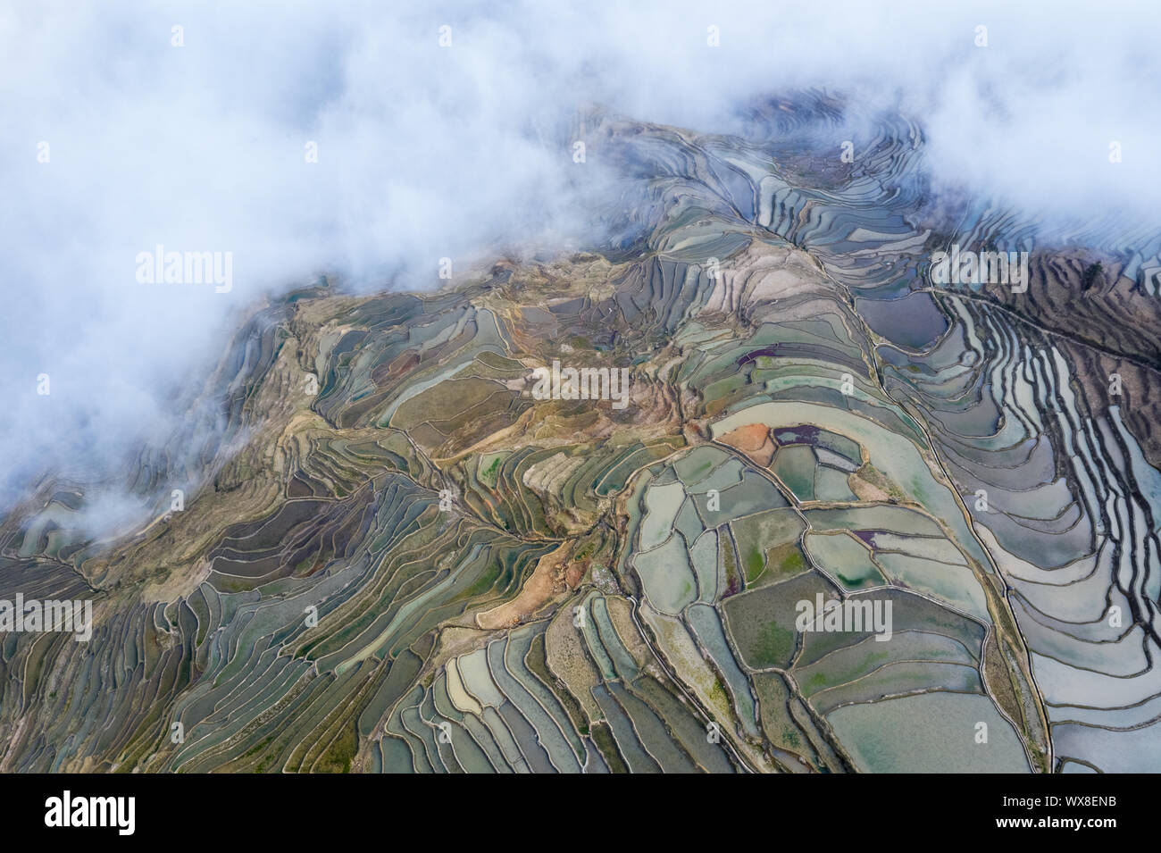 Vista aerea di campi terrazzati in nuvole nebbia Foto Stock