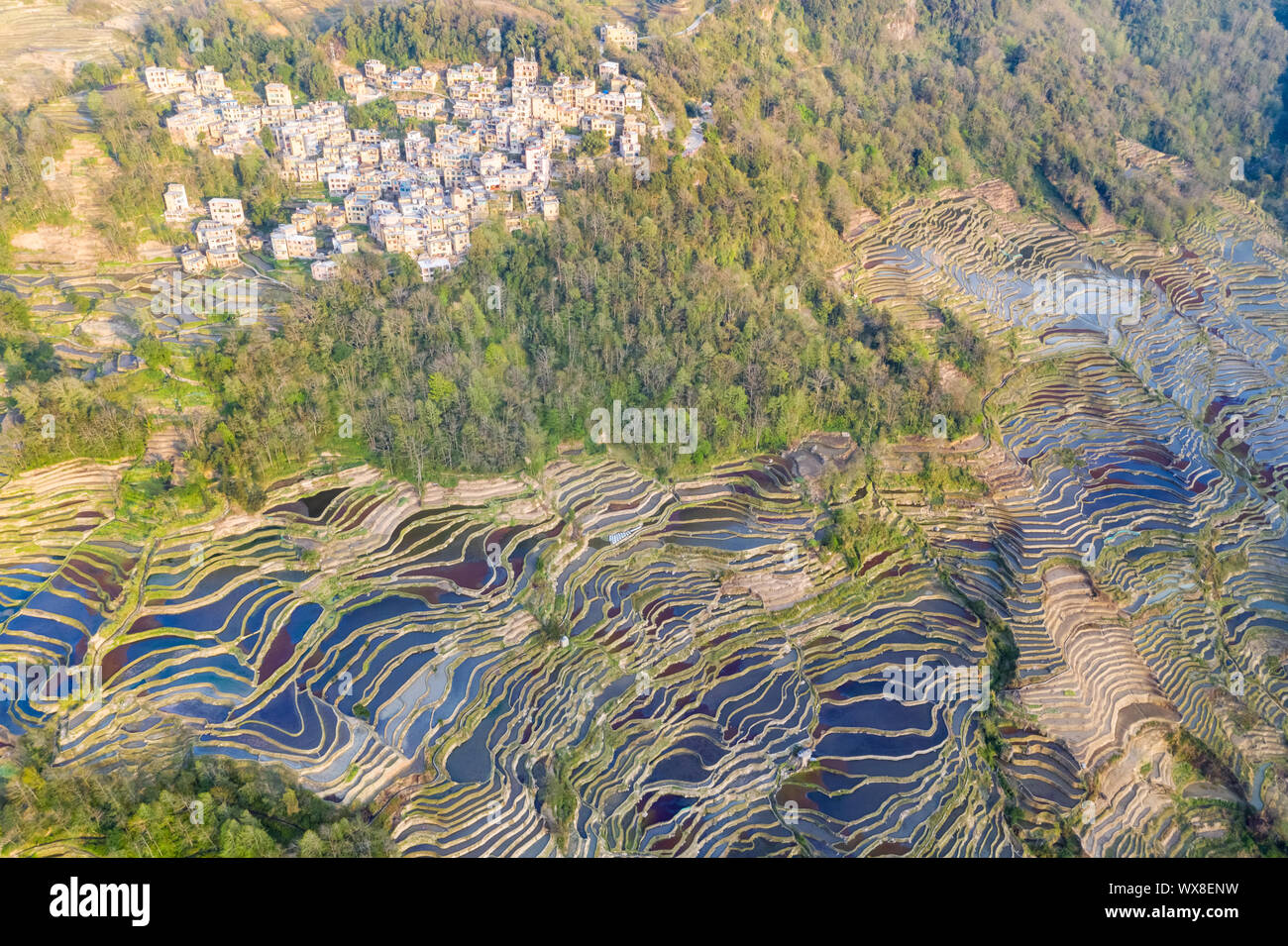 Bella yuanyang hani terrazzati paesaggio del campo Foto Stock