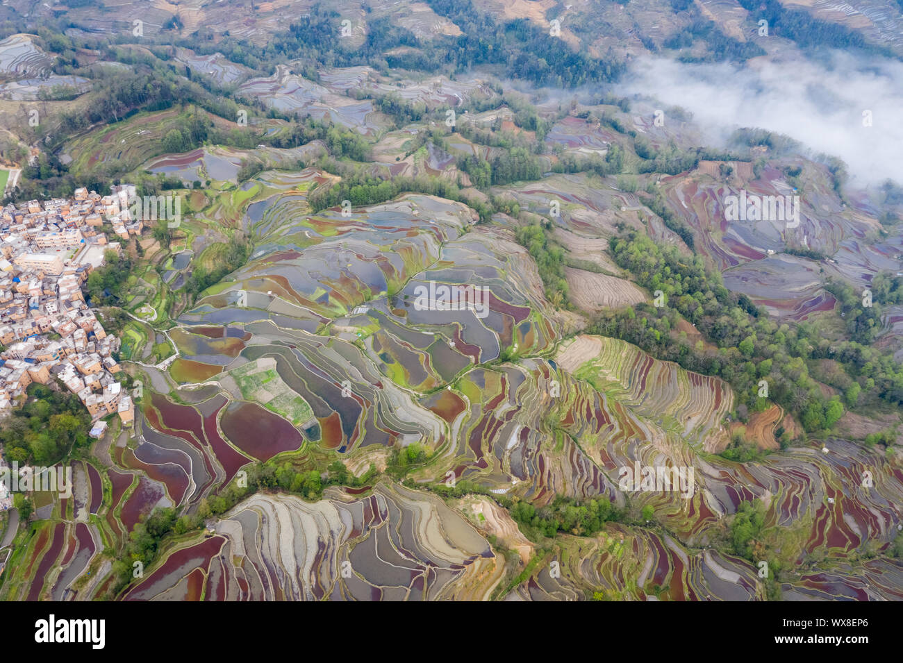 Vista aerea di campi terrazzati in valle Foto Stock