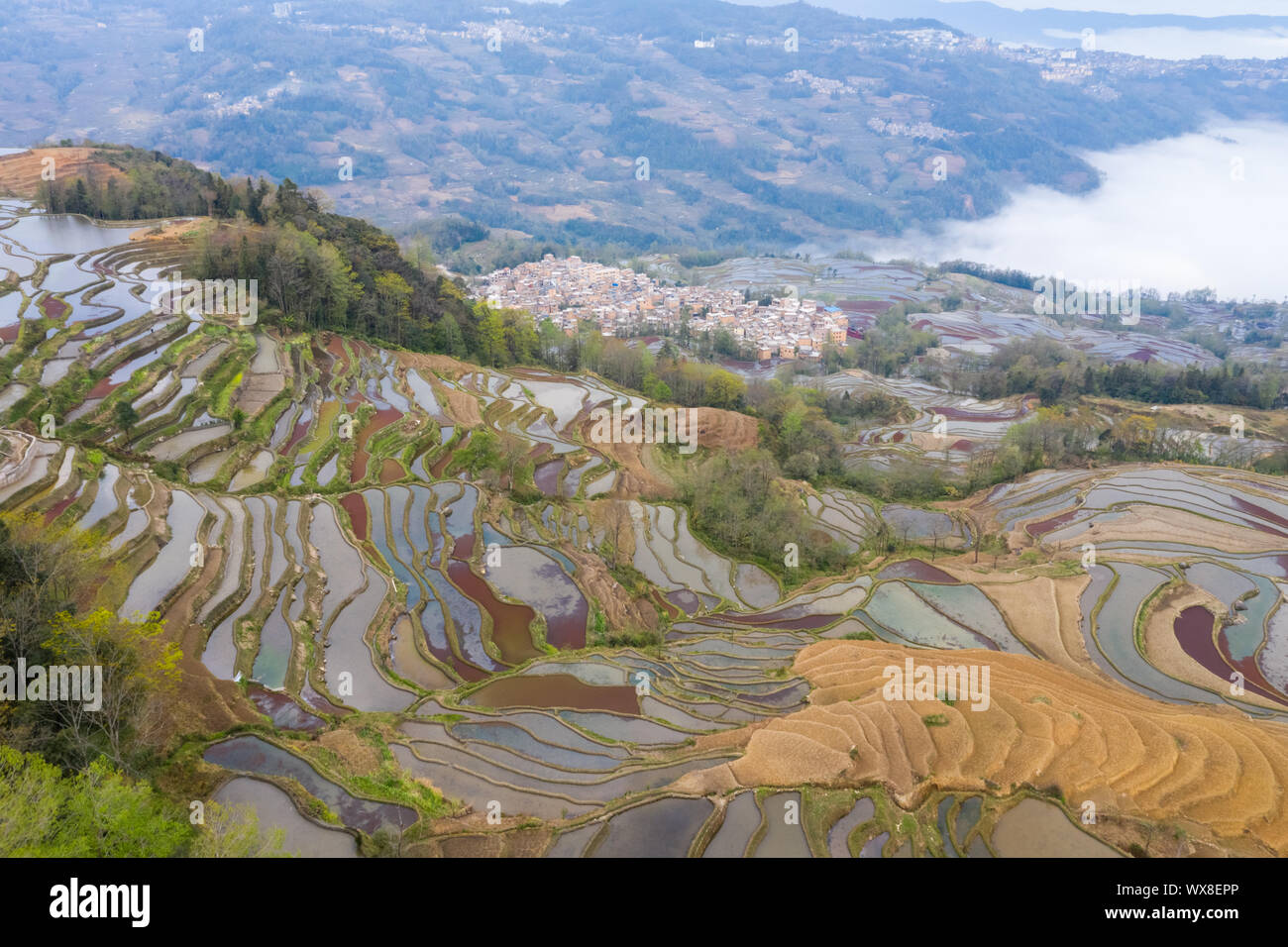 Campi terrazzati paesaggio e villaggio in mattinata Foto Stock