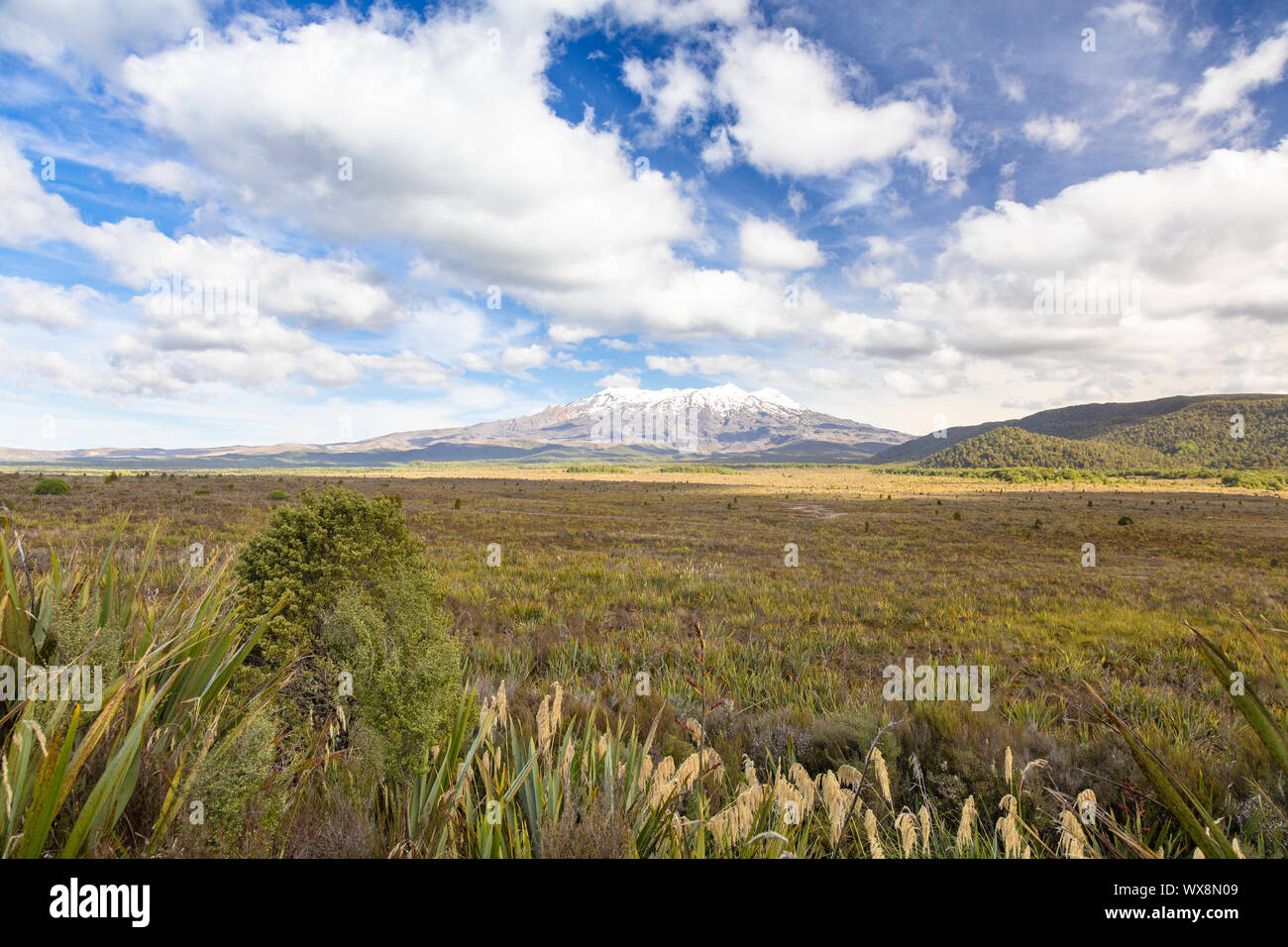 Il monte Vulcano Ruapehu in Nuova Zelanda Foto Stock