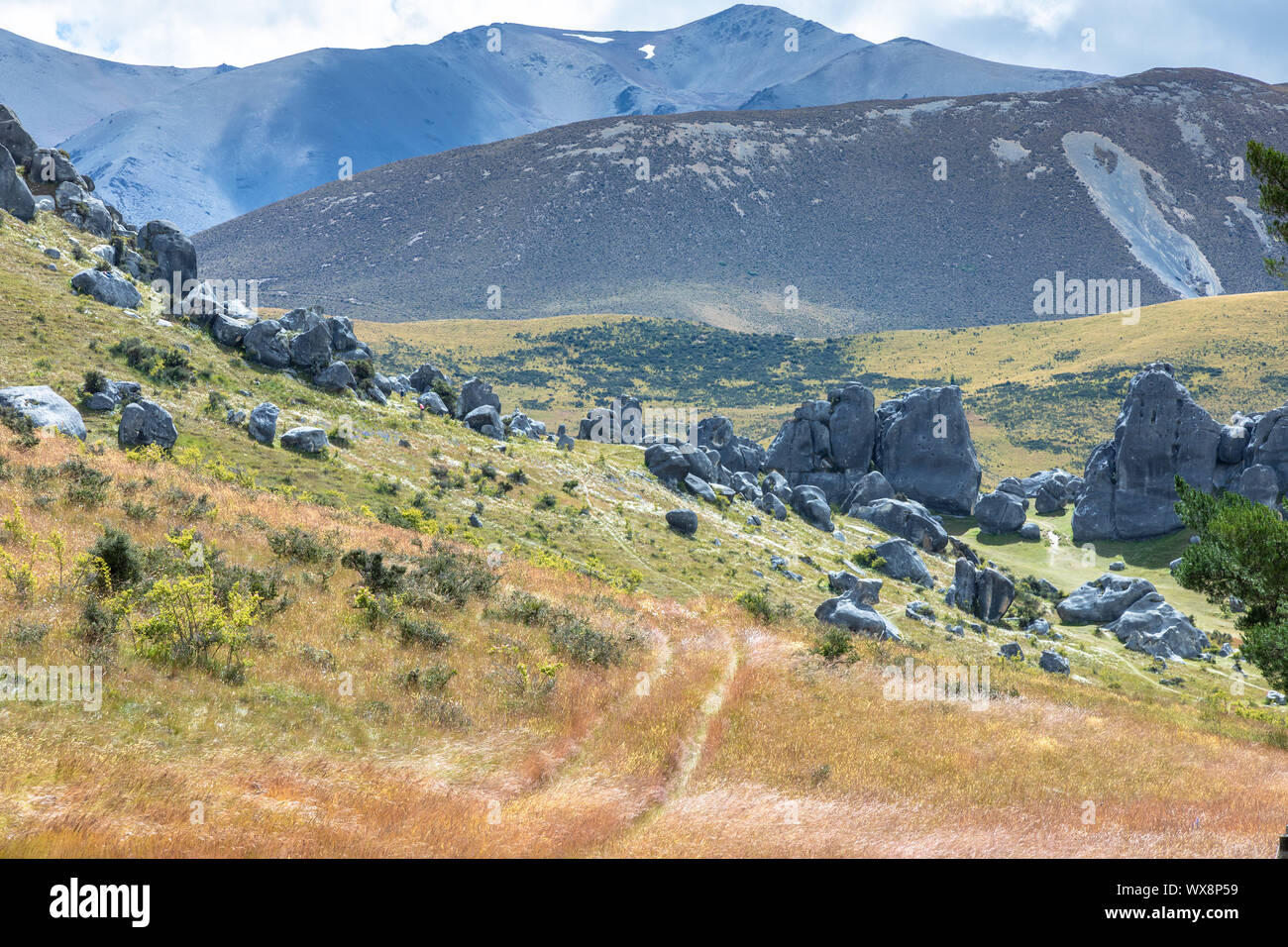 Paesaggio PAESAGGIO nel sud della Nuova Zelanda Foto Stock