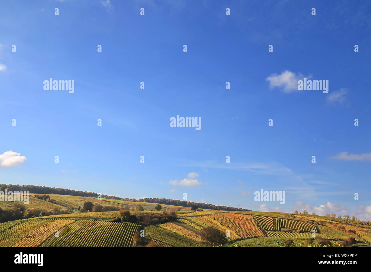 Volkach è una regione vinicola in Baviera Foto Stock