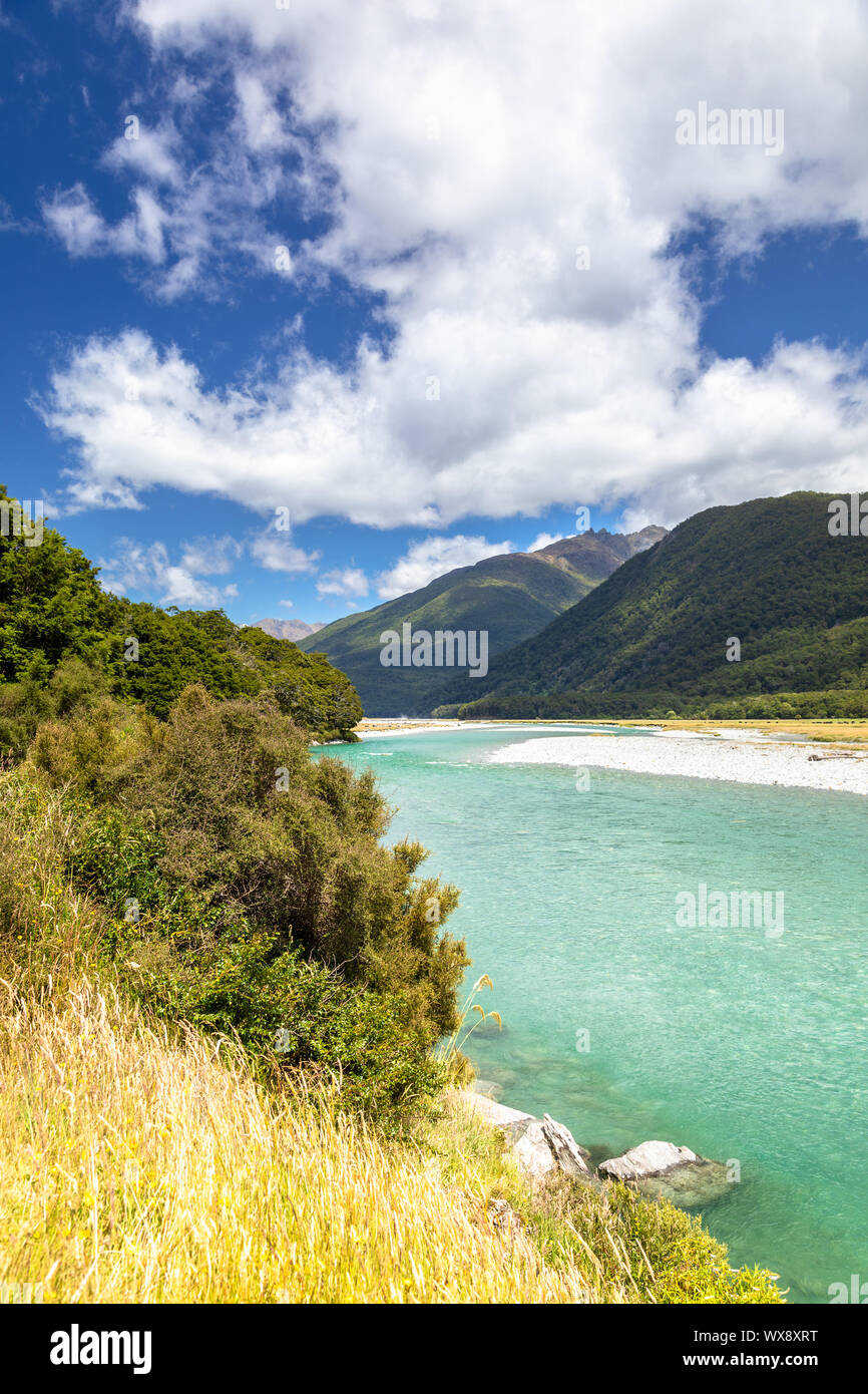 Haast Fiume Valle Landsborough Nuova Zelanda Foto Stock