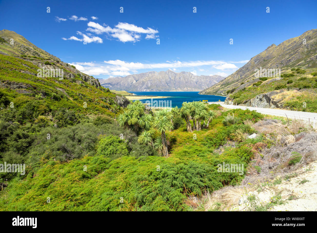 Il lago Wanaka; Nuova Zelanda isola del sud Foto Stock