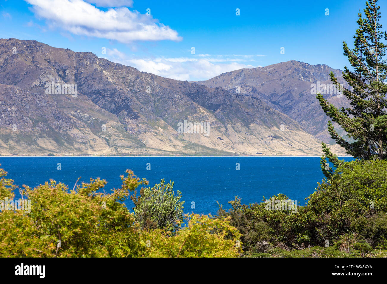 Il lago Wanaka; Nuova Zelanda isola del sud Foto Stock