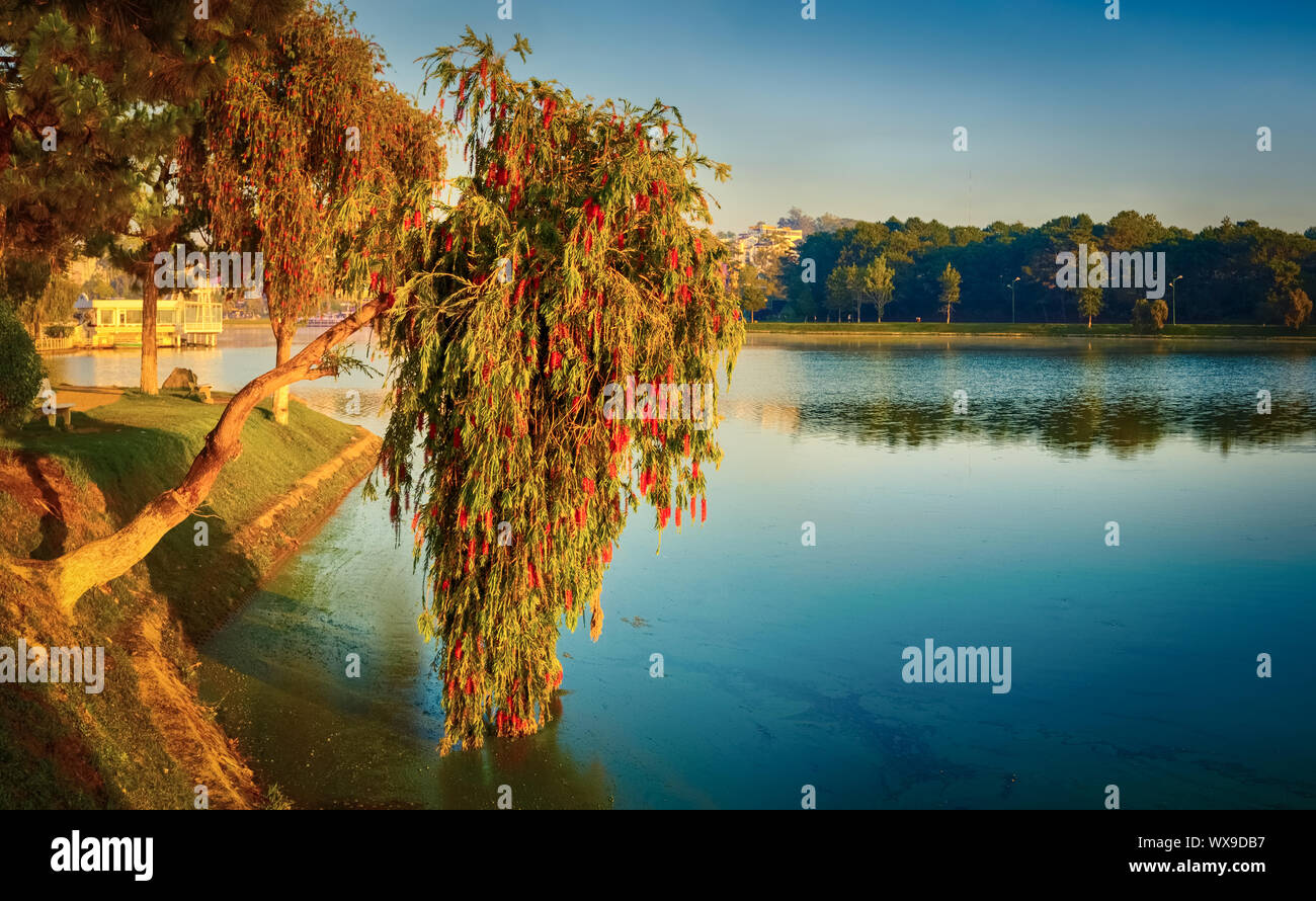 Sunrise over Xuan Huong Lake, Dalat, Vietnam Foto Stock