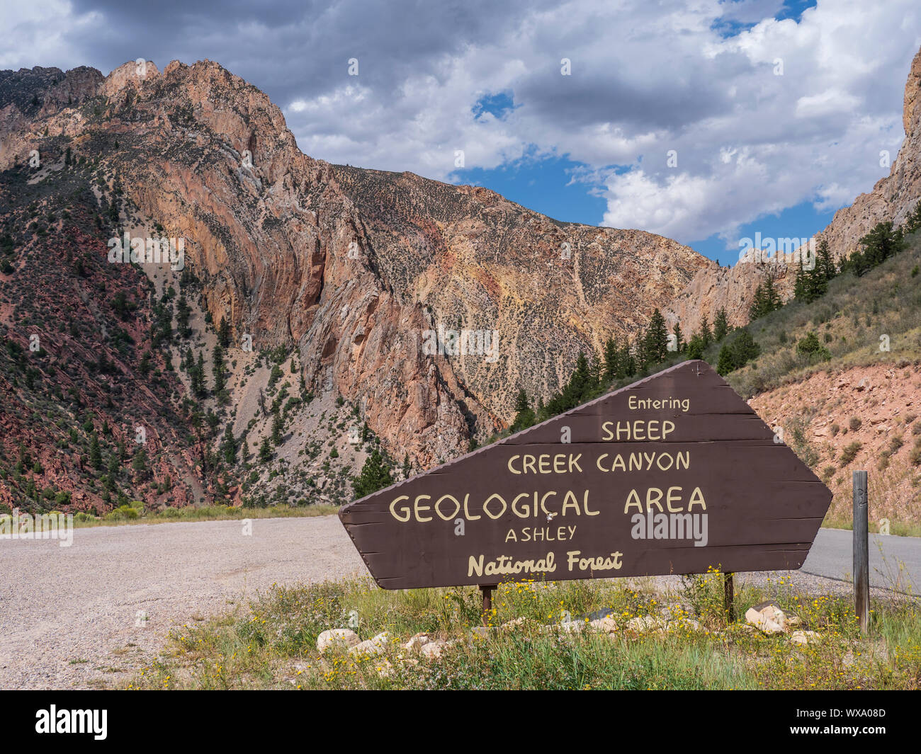 Ingresso sign, pecore Creek Canyon Area geologica, Ashley National Forest, Utah. Foto Stock