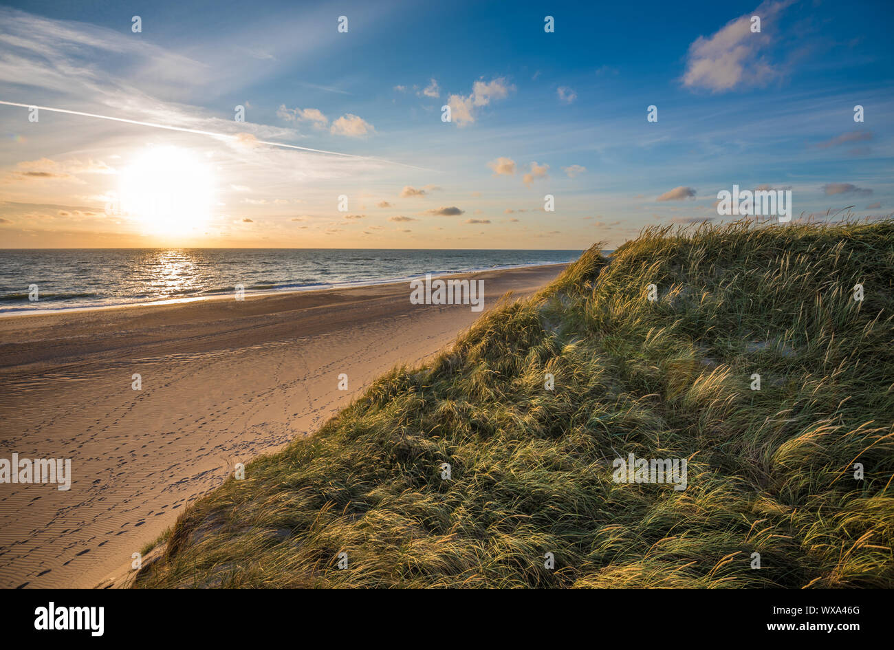 Spiaggia del mare del Nord, costa dello Jutland in Danimarca Foto Stock
