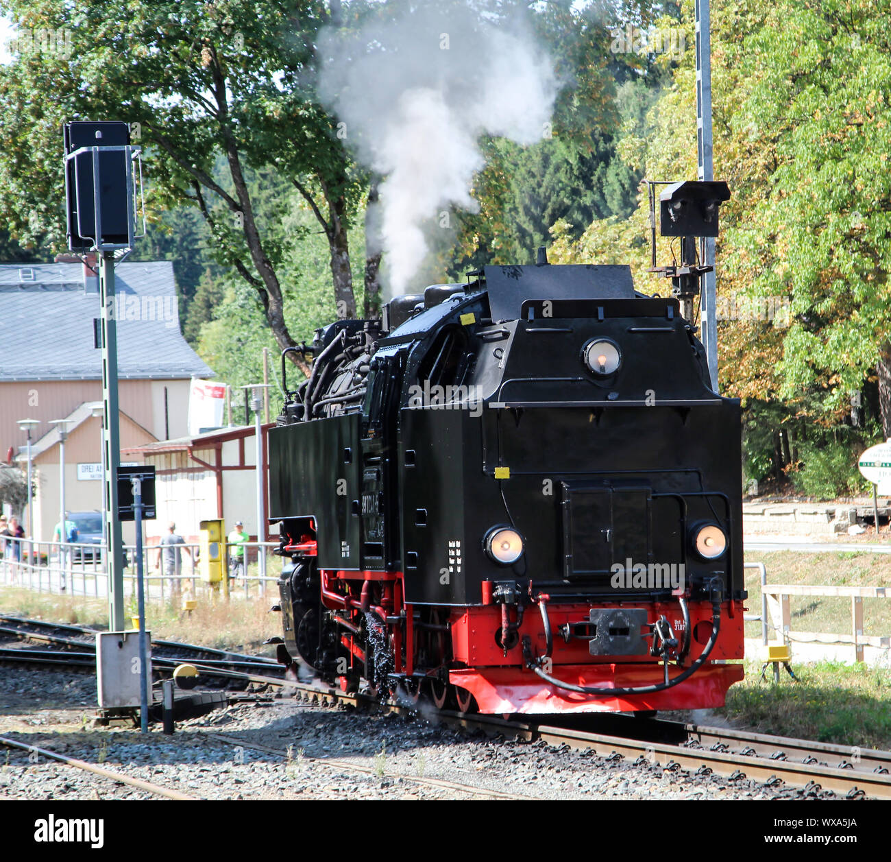 Un vecchio a scartamento ridotto locomotiva a vapore Foto Stock