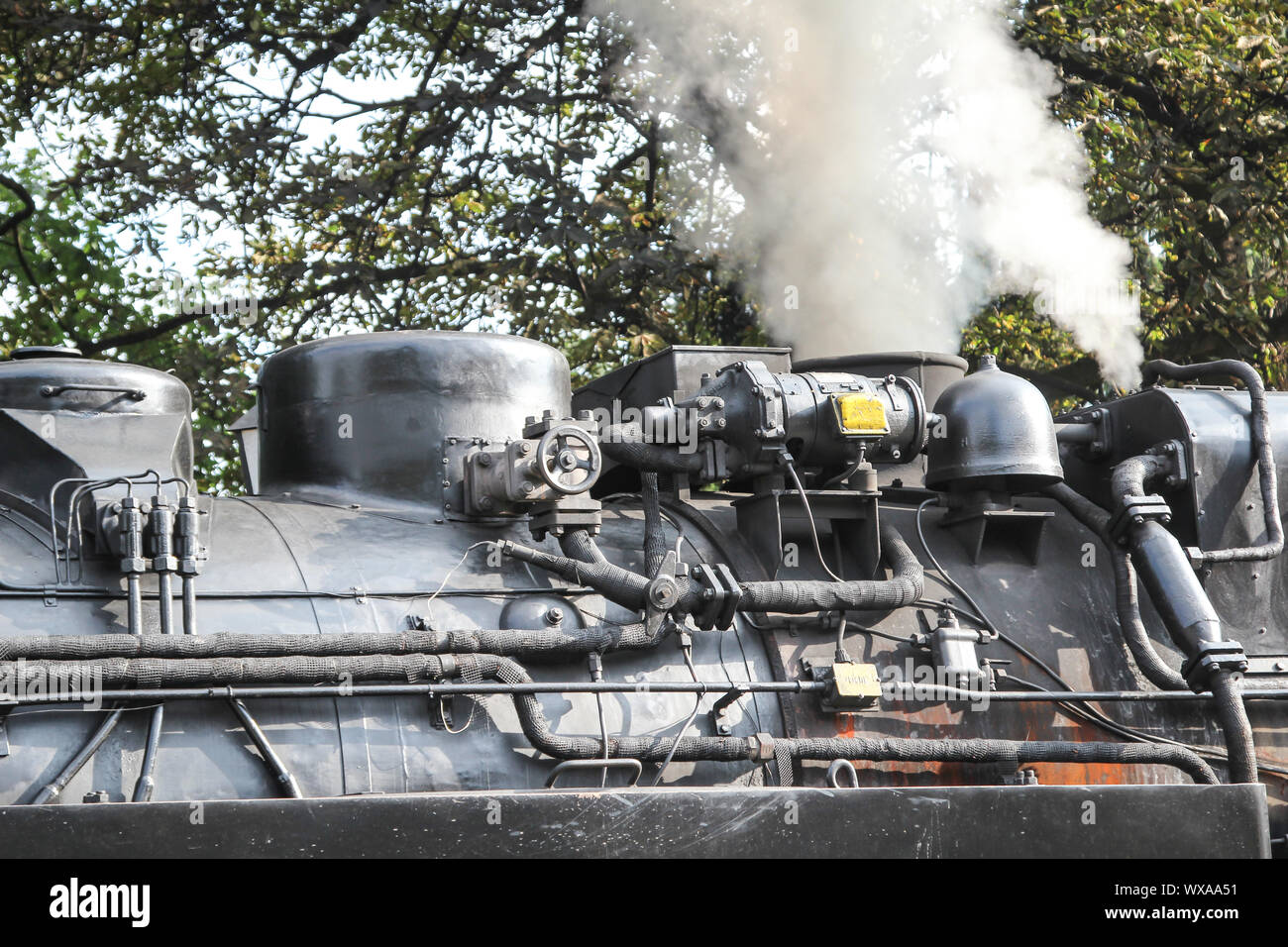 Dettagli di un vecchio a scartamento ridotto locomotiva a vapore Foto Stock