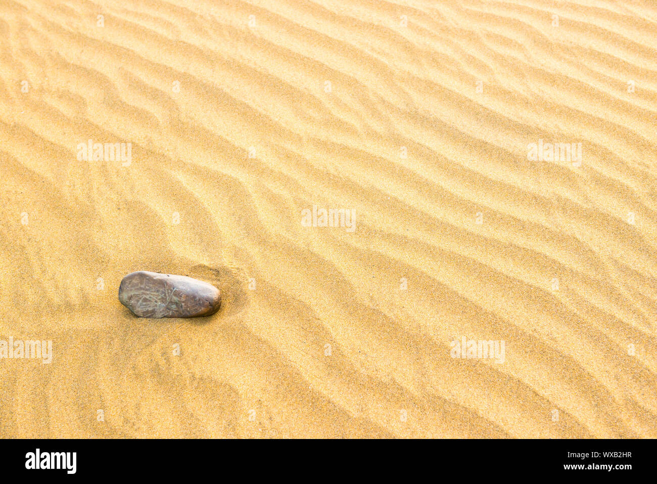 Pebble giacente sulla tessitura di giallo le dune di sabbia Foto Stock