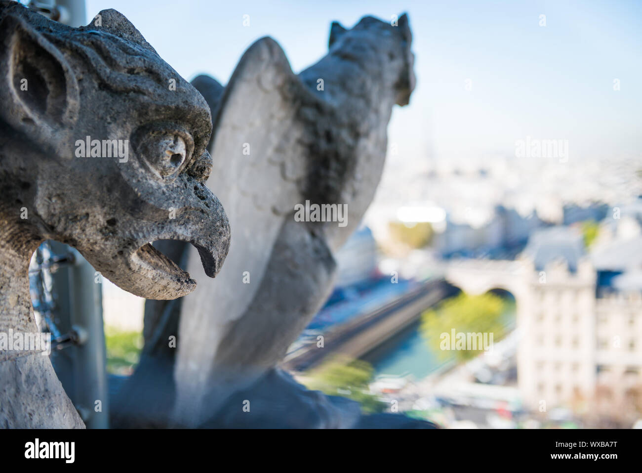 Gargoyle statua sulla Cattedrale di Notre Dame de Paris Foto Stock