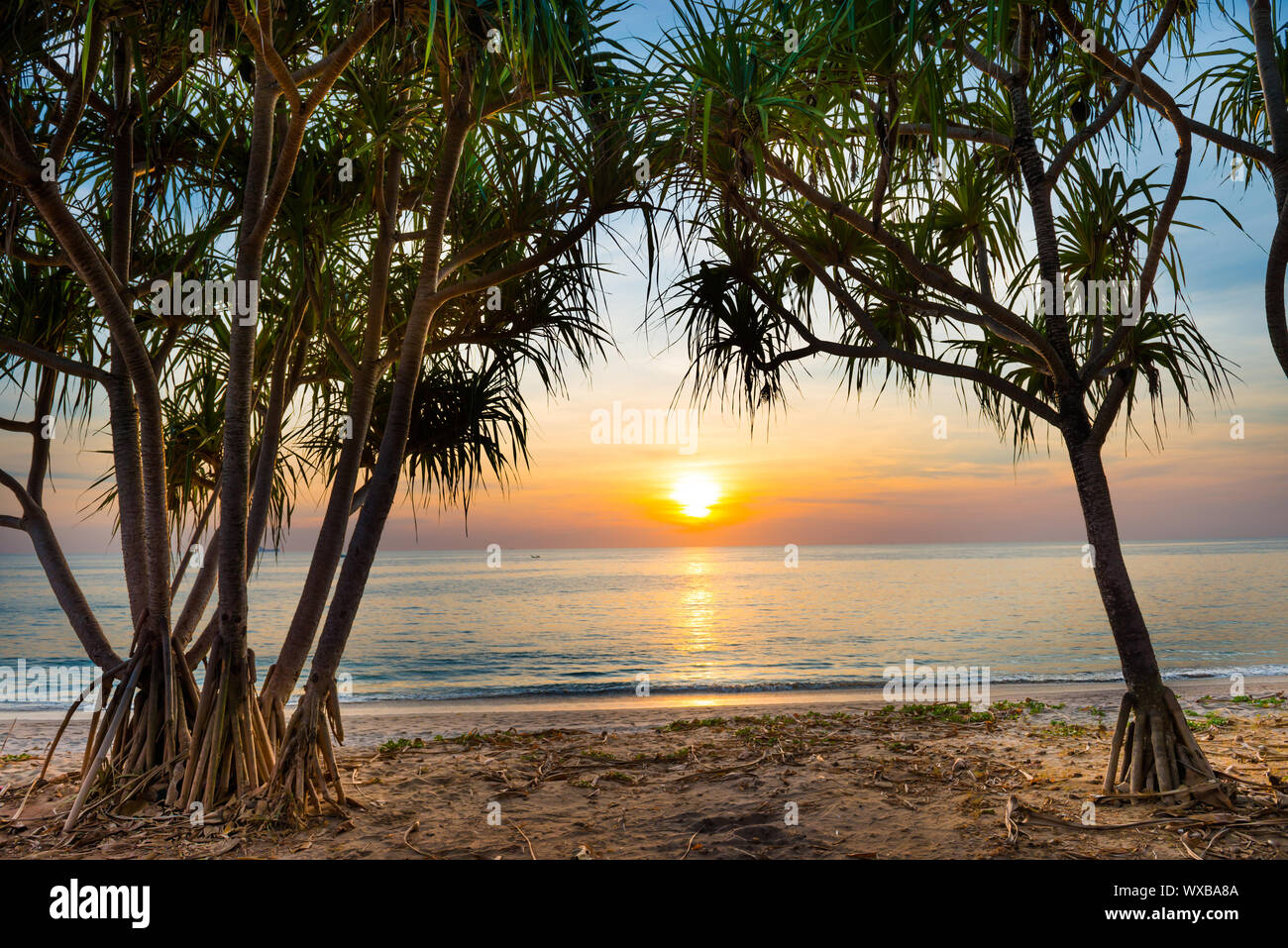 Tramonto a spiaggia tropicale con palme Foto Stock