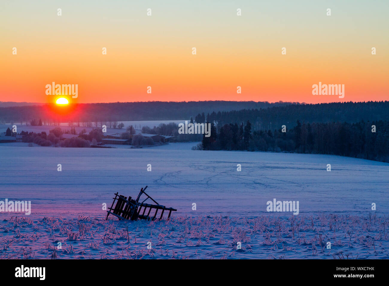 Alba a Harz Selketal Foto Stock