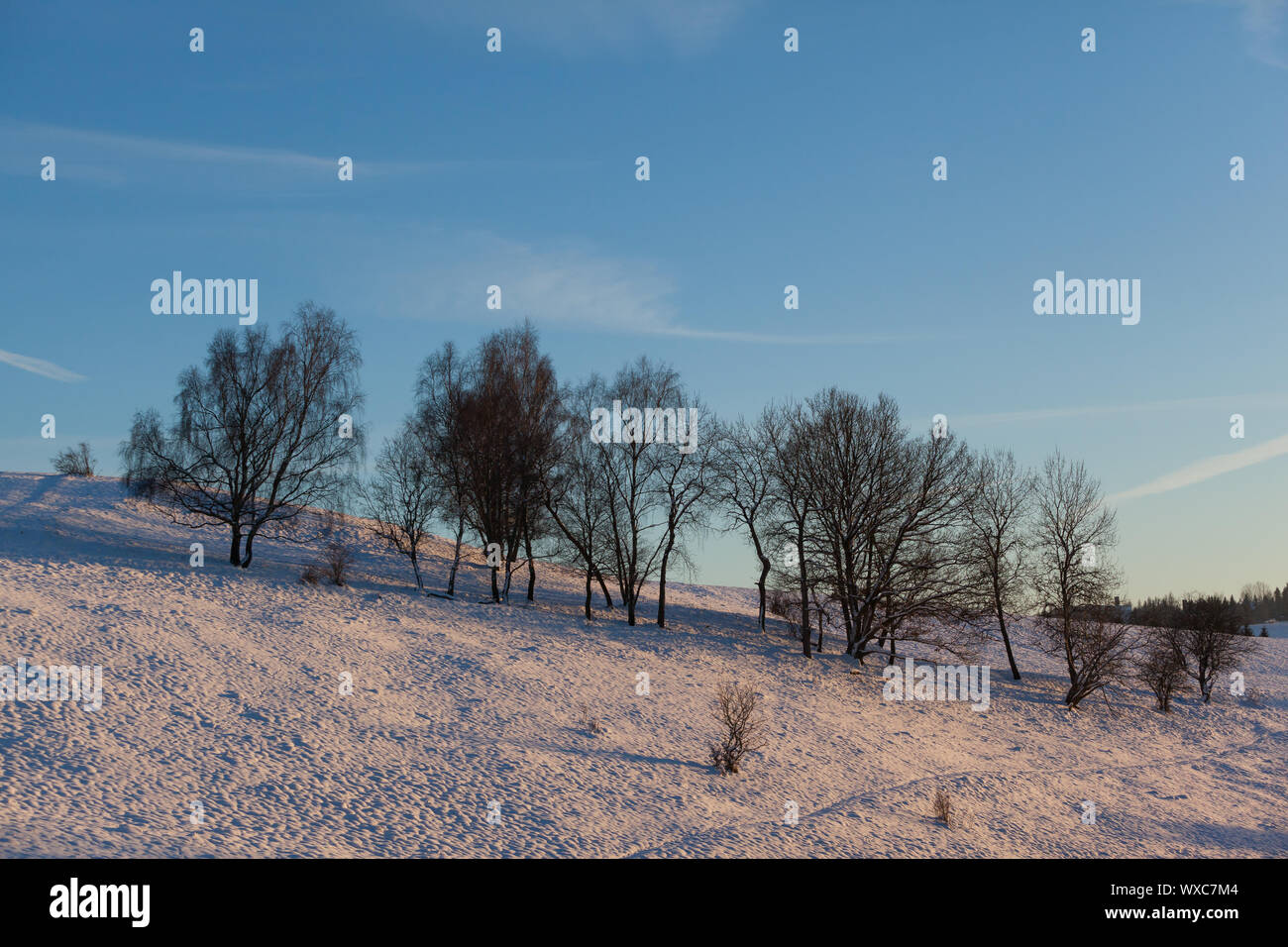 Umore di illuminazione tramonto nelle montagne Harz Foto Stock