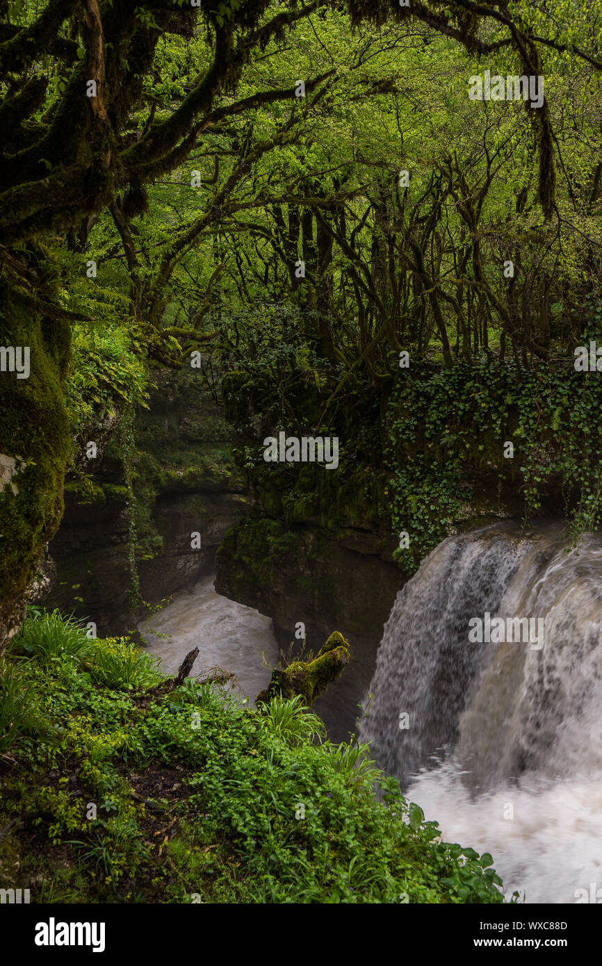 Canyon martvili goccia d'acqua Foto Stock