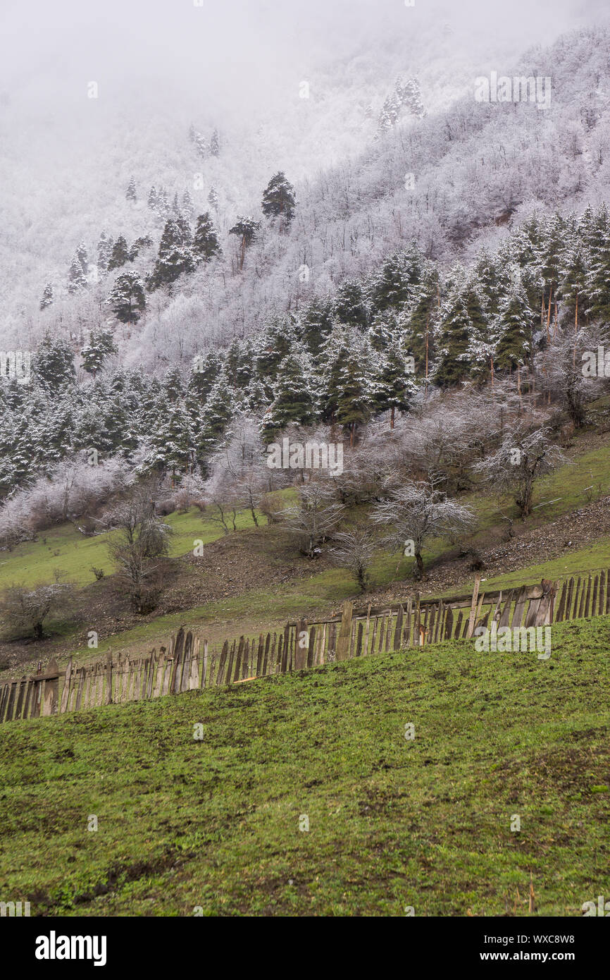 Neve fresca in svanetia Foto Stock
