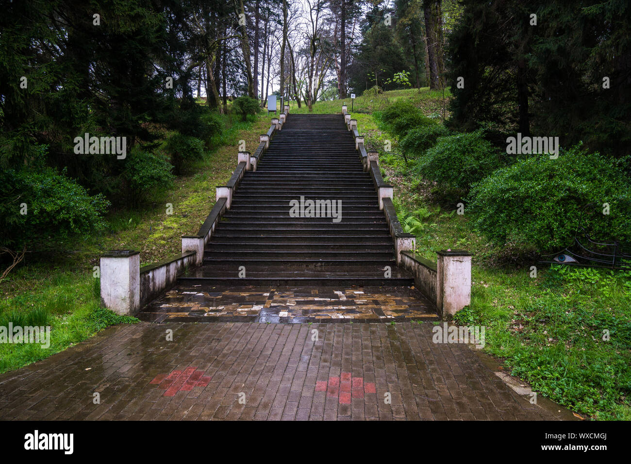 Le scale nel giardino botanico di batumi Foto Stock