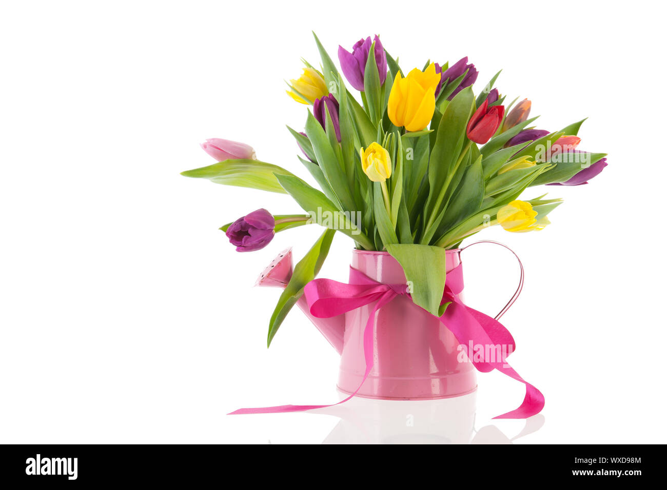 Annaffiatoio con colorati bouquet di tulipani di compleanno in primavera Foto Stock