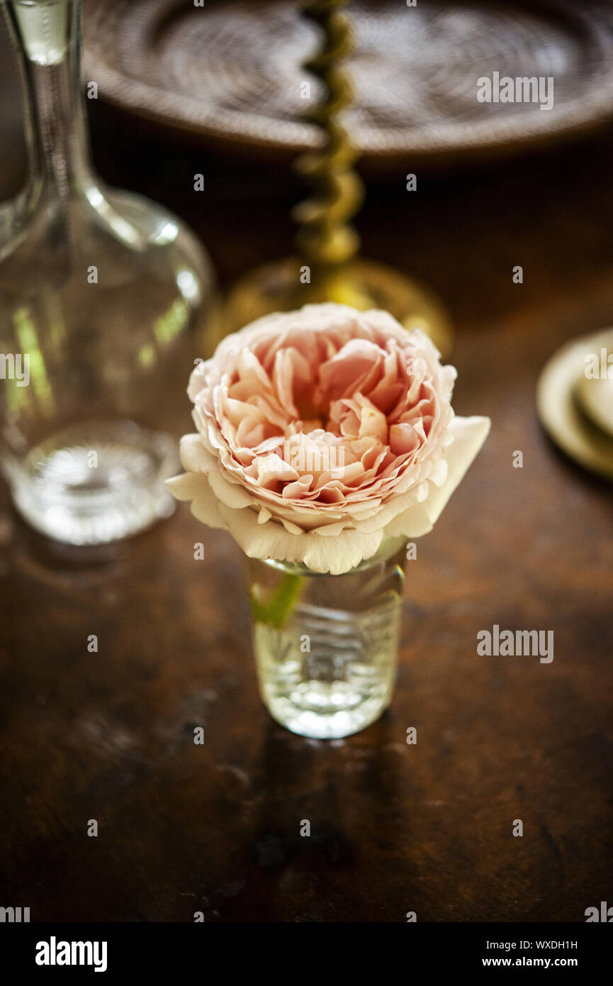 Rosa rosa taglio di fiori in vaso di cristallo sulla tavola con candela stick e vaso Foto Stock