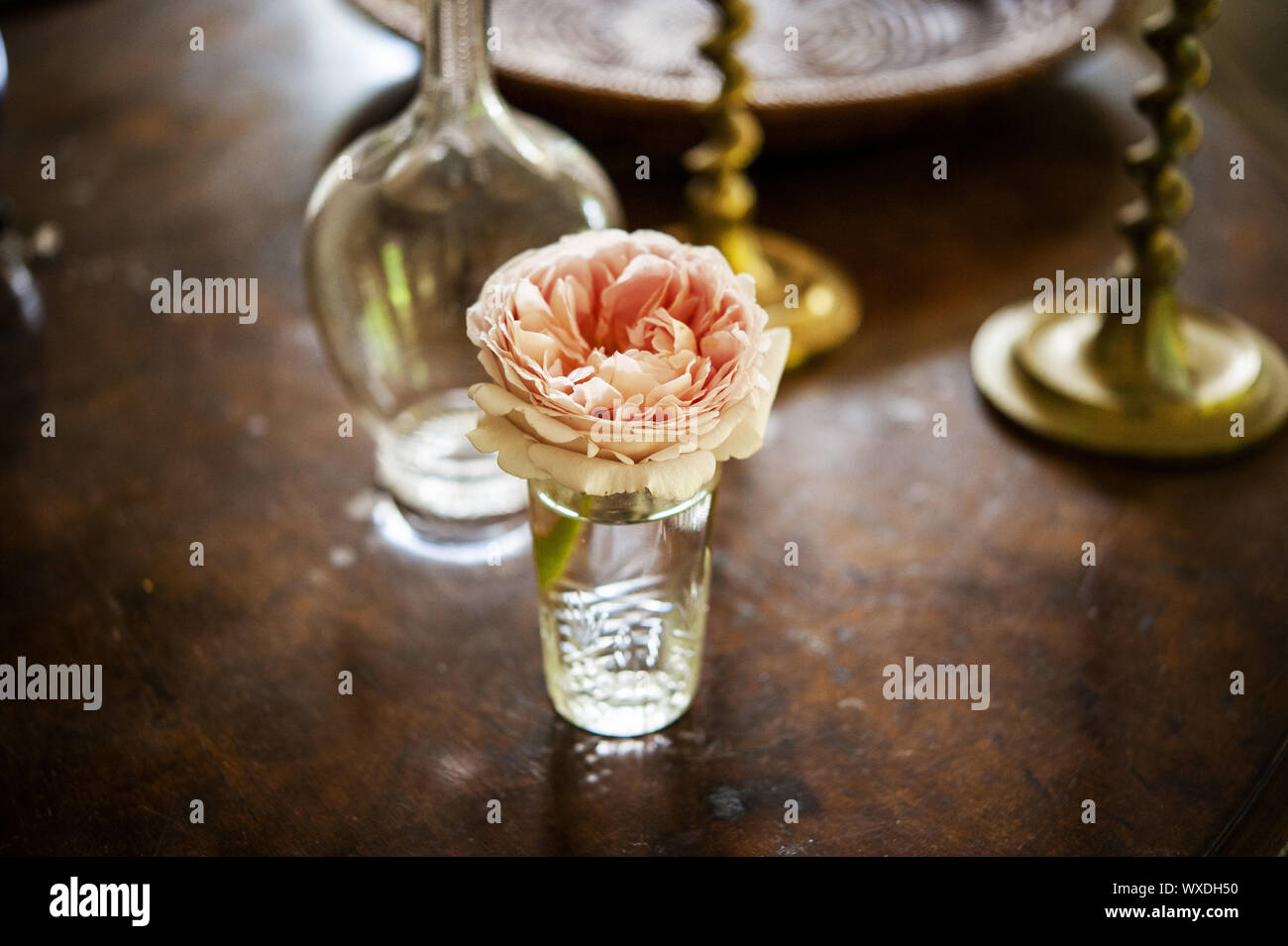 Rosa rosa taglio di fiori in vaso di cristallo sulla tavola con candela stick e vaso Foto Stock