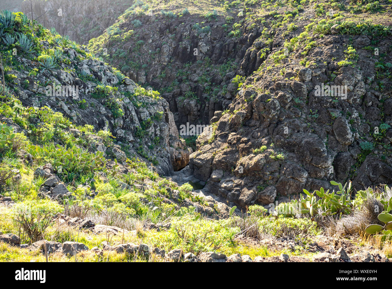 Letto di ruscello nel canyon Barranco de Argaga Foto Stock