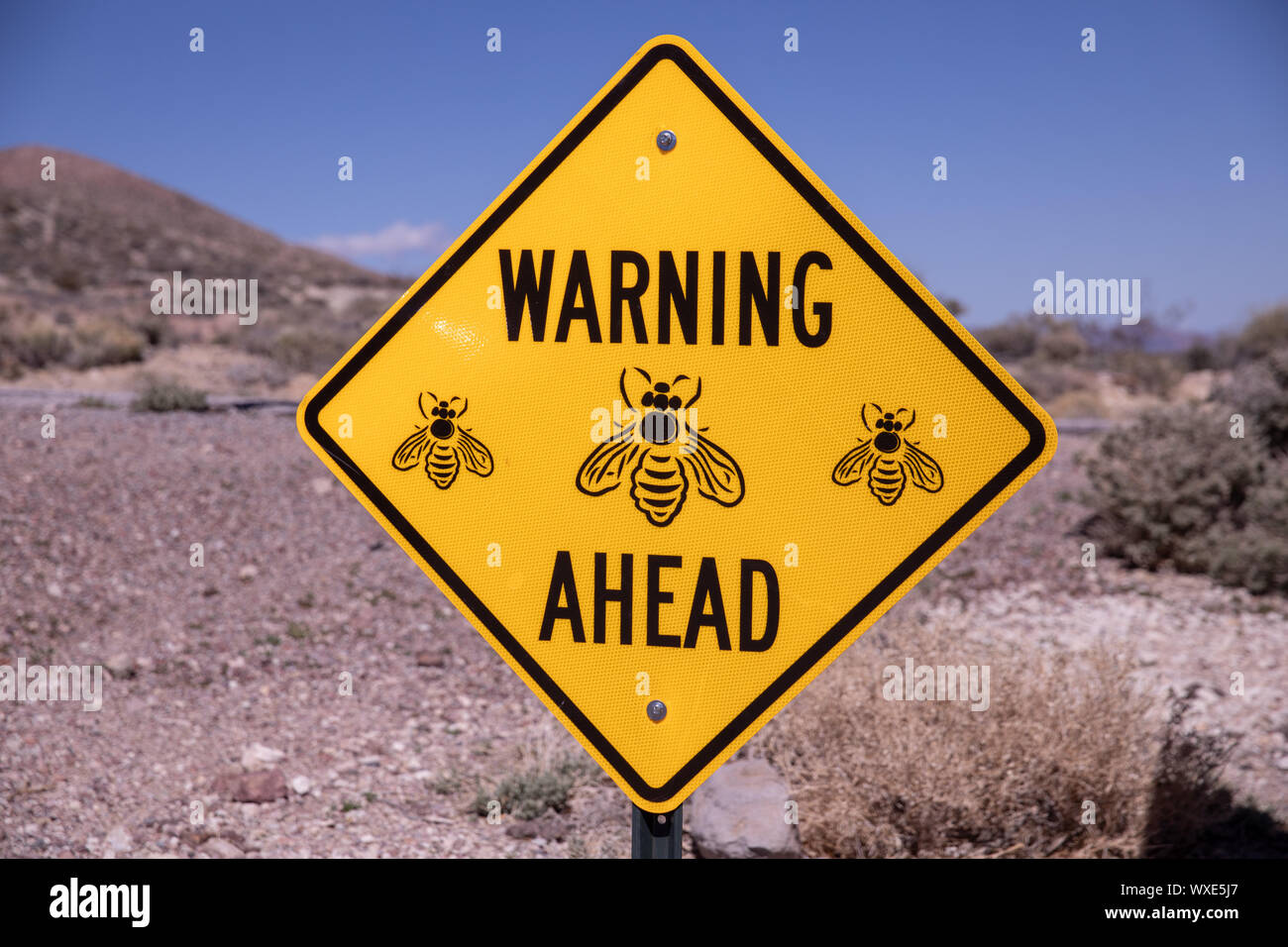 Informazioni postate segno 'Avvertenza avanti' per avvertire di una presenza di vespe su un parcheggio nel deserto. Foto Stock