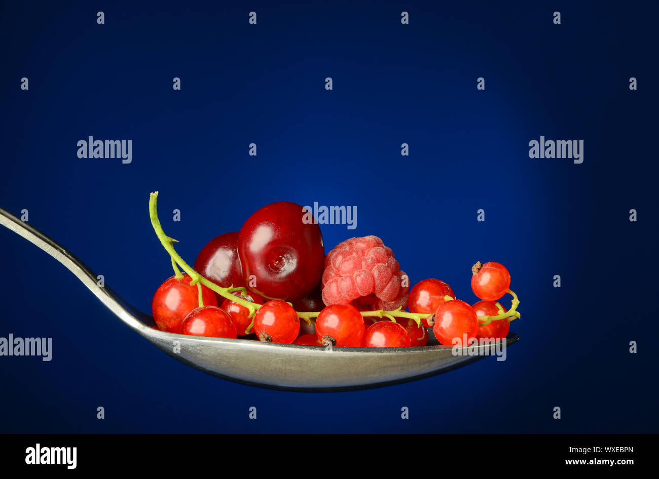 Grosso cucchiaio pieno di succosa rosse bacche Ribes Foto Stock