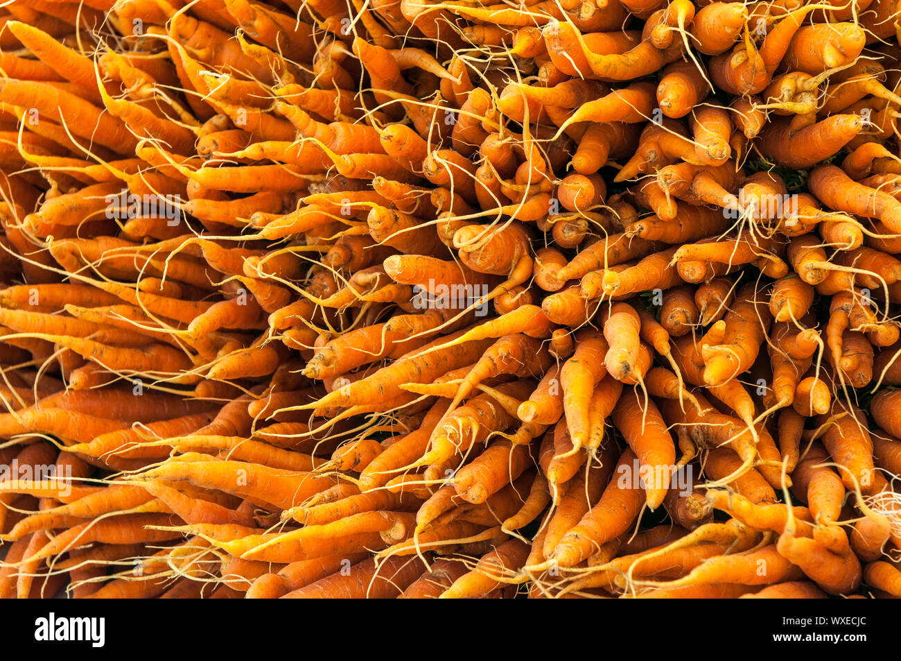 Sullo sfondo di un succo di arancia carote Foto Stock