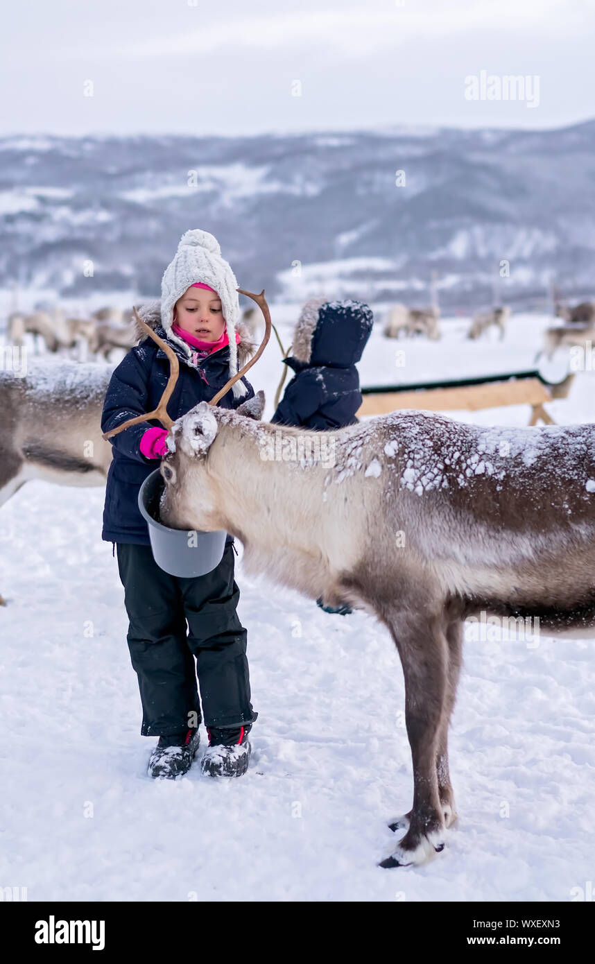 Bambina alimentazione di renne in inverno Foto Stock