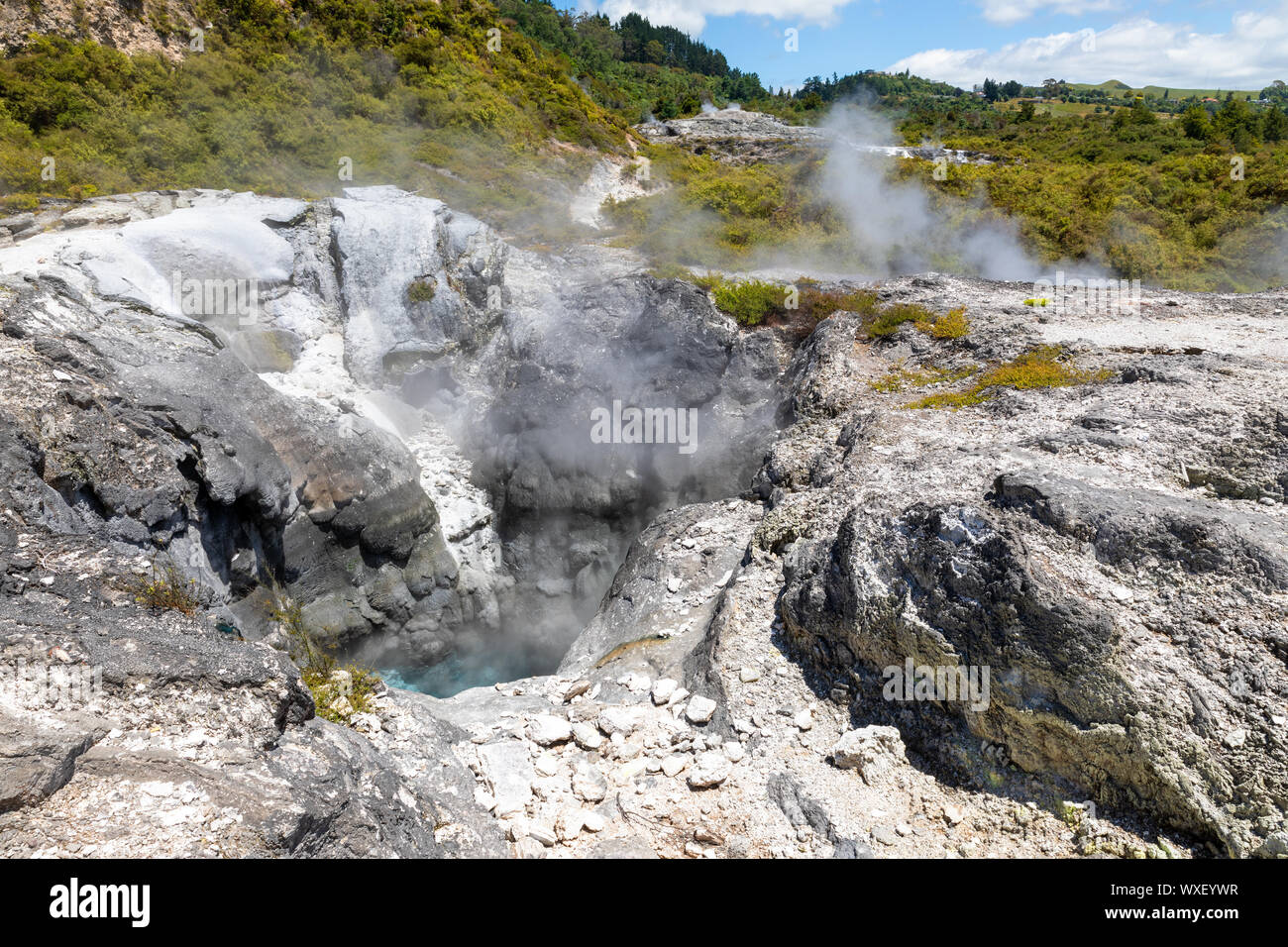 Attività geotermica a Whakarewarewa Rotorua Nuova Zelanda Foto Stock