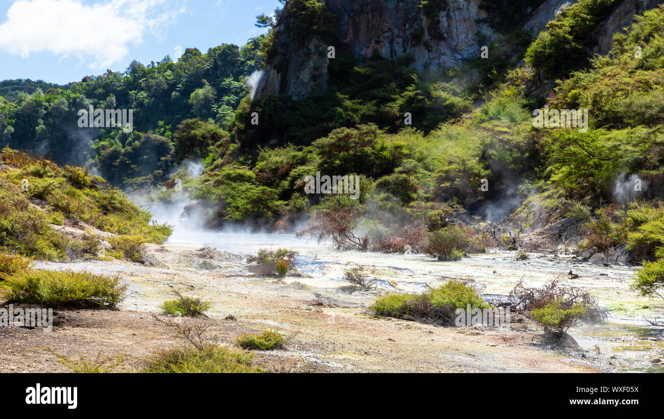 Attività vulcanica waimangu a Foto Stock