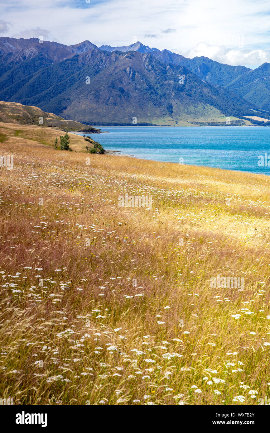 Il lago Wanaka; Nuova Zelanda isola del sud Foto Stock