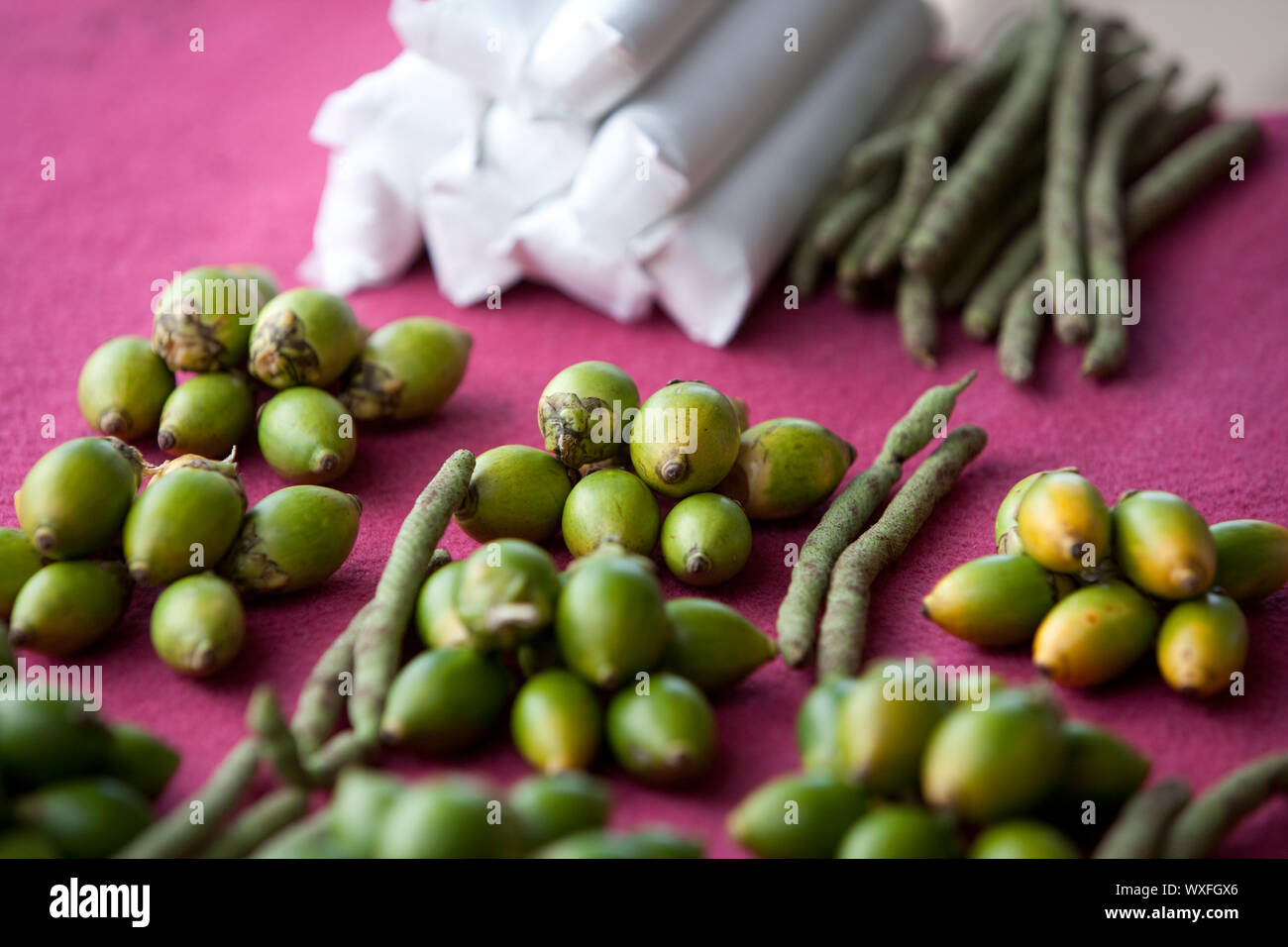 Noci di arec dado (betel dado) in vendita in un mercato Foto Stock