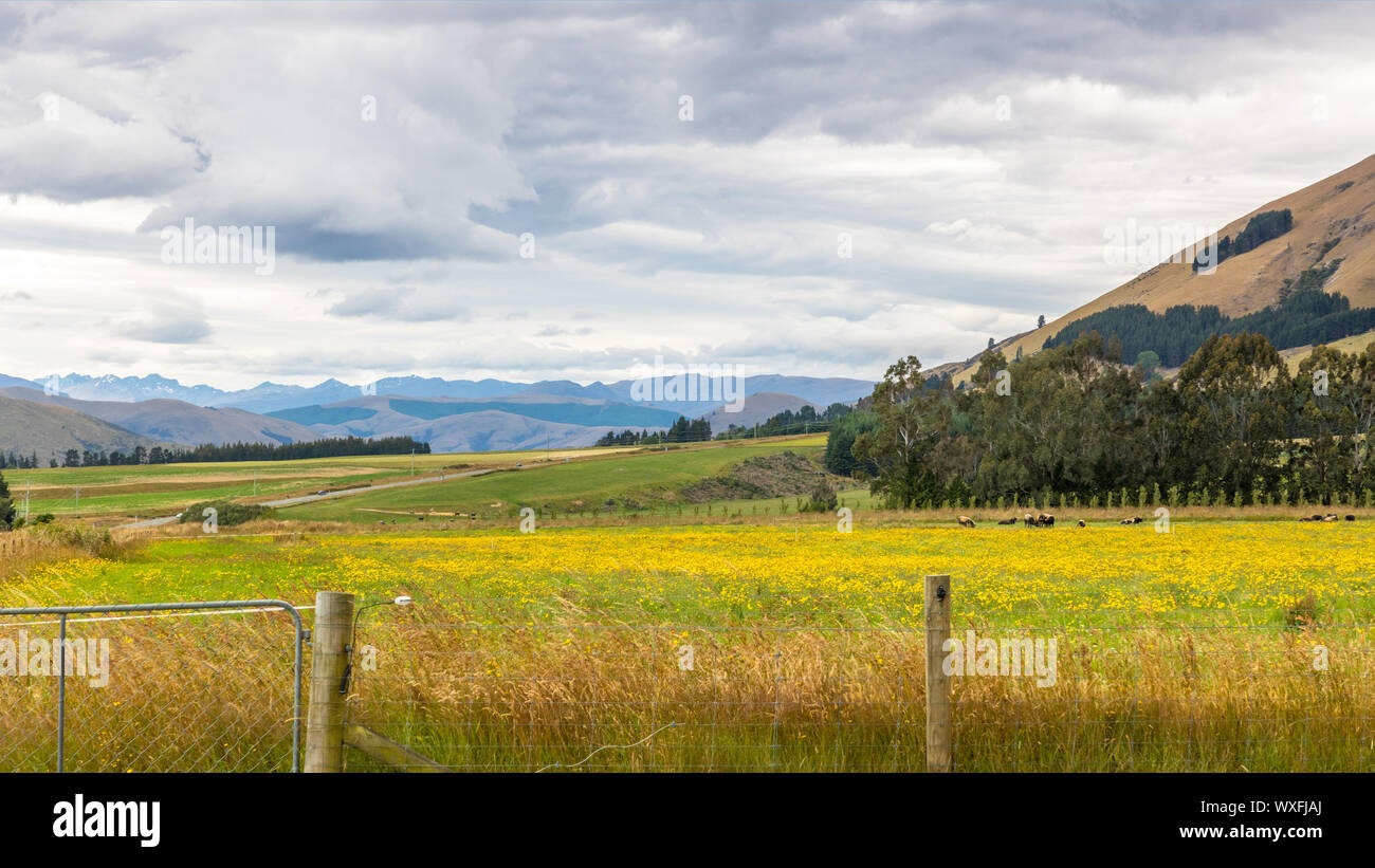 Paesaggio PAESAGGIO nel sud della Nuova Zelanda Foto Stock