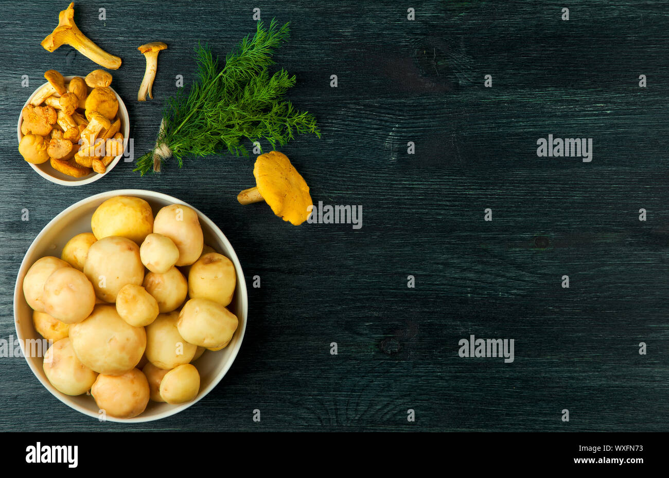 I funghi freschi con le spezie e le erbe sul bordo nero. Vista da sopra. Copia dello spazio. Foto Stock