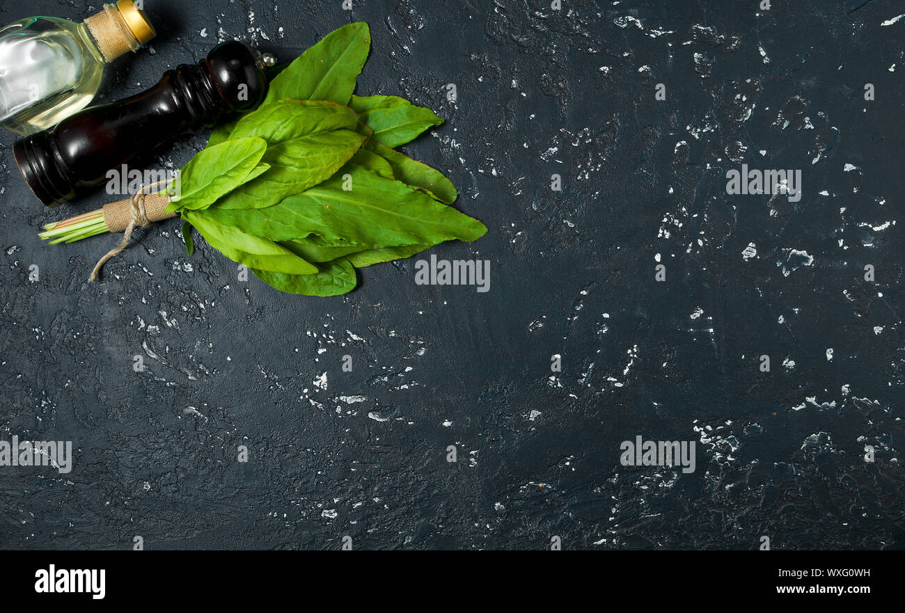 Green sorrel. Fresh sorrel lascia su di una superficie scura. Vista da sopra. Spazio di copia Foto Stock