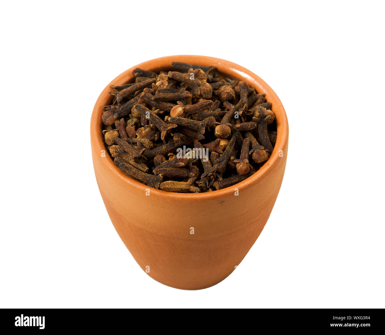 Chiodi di garofano a secco in un recipiente isolato su sfondo bianco. Spice sul isolare. Vista da sopra. Foto Stock