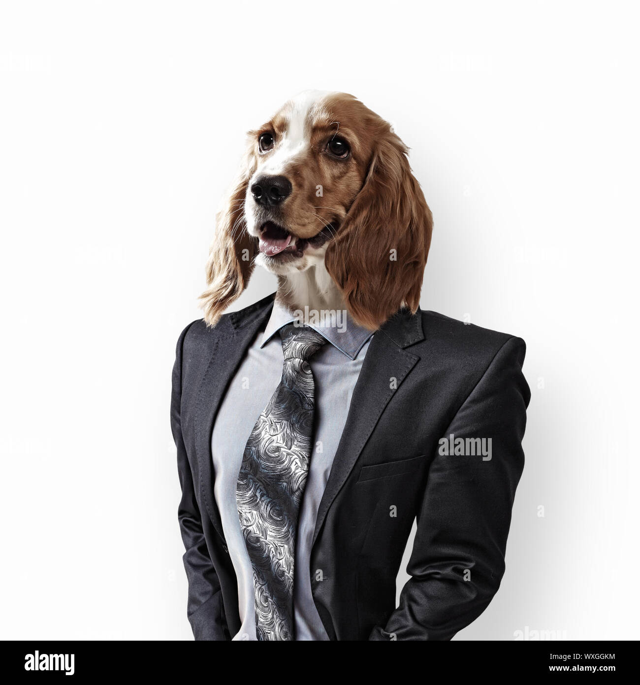 1e92b855-3A80-456A-8825-80b421essere3508 Foto Stock