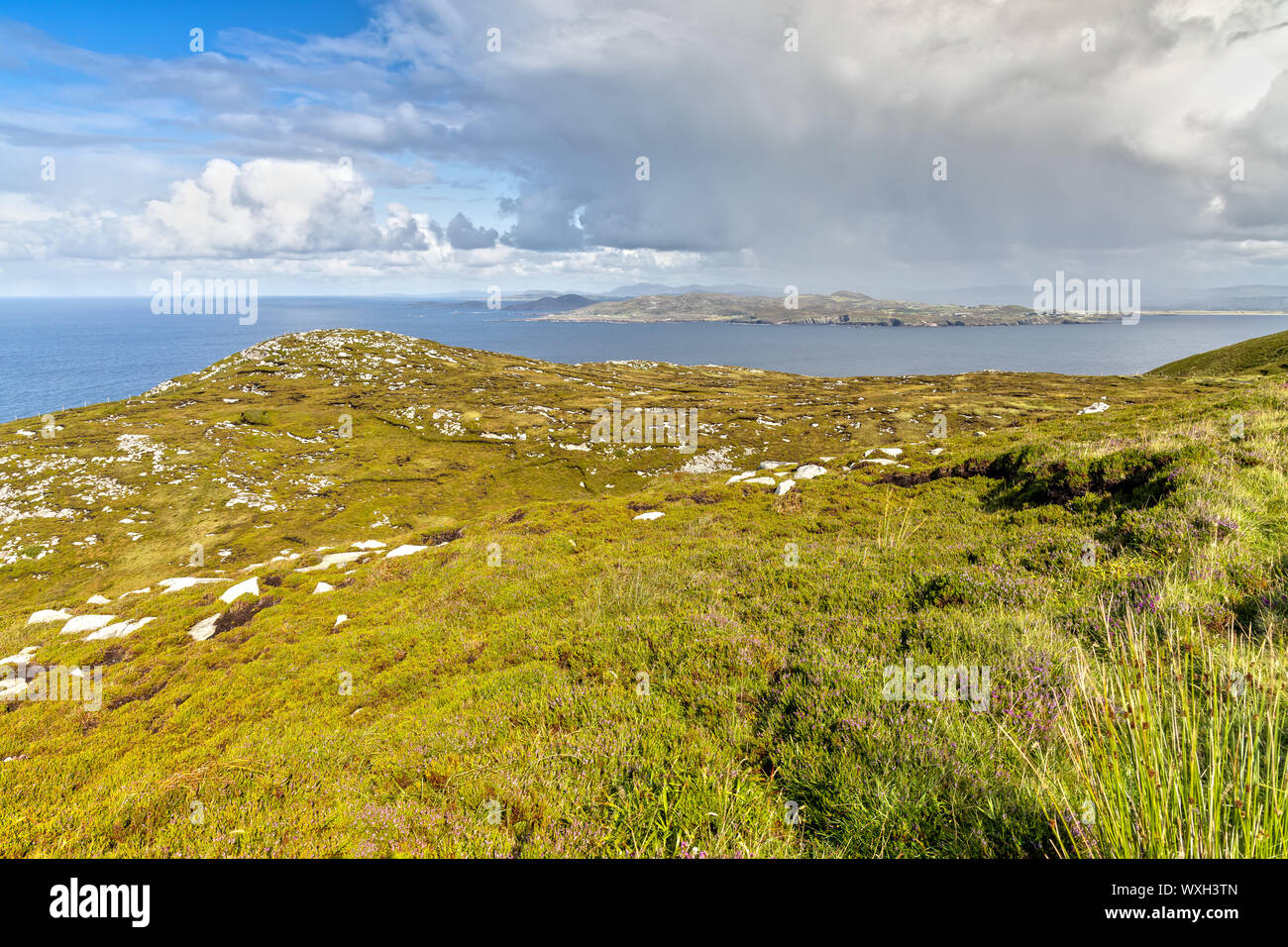 Vista sulle scogliere di Capo Horn nella Contea di Donegal in Irlanda Foto Stock