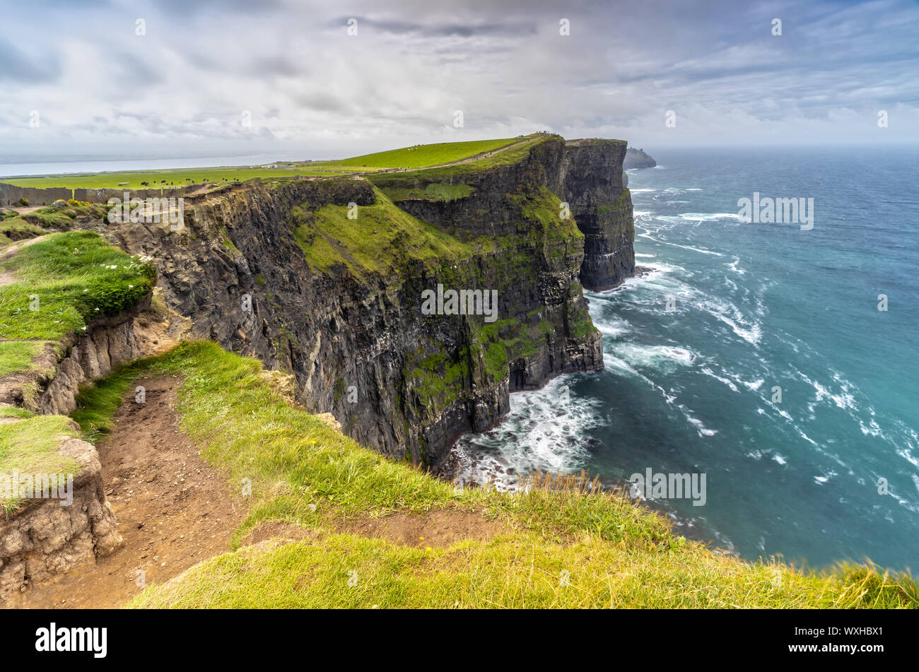 Le Scogliere di Moher in Irlanda Foto Stock