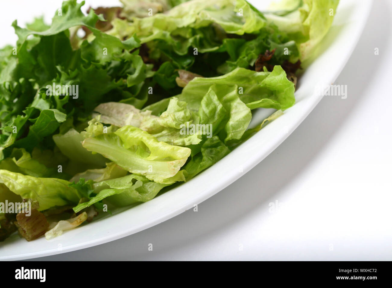 Insalata isolati su sfondo bianco Foto Stock