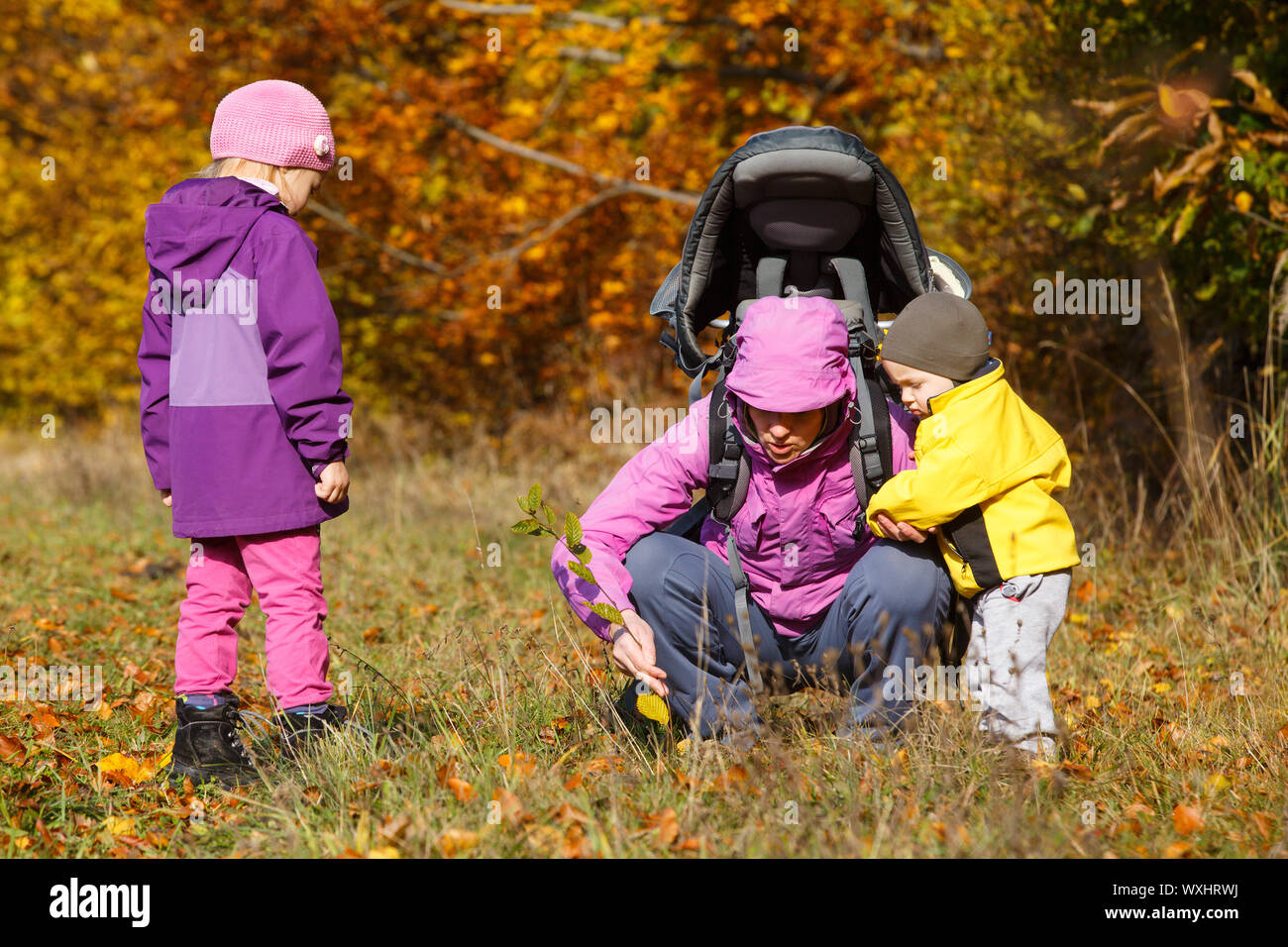 Madre con i bambini nella natura alla ricerca di erbe selvatiche Foto Stock