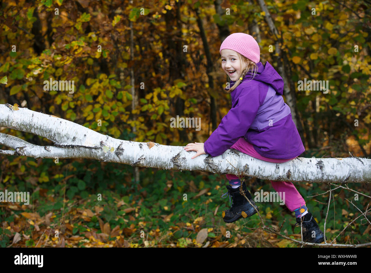 Sorridente ragazza che gioca nei boschi, seduto su un registro di betulla Foto Stock